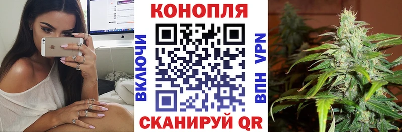 МАРИХУАНА White Widow  Купить закладки  Сасово 